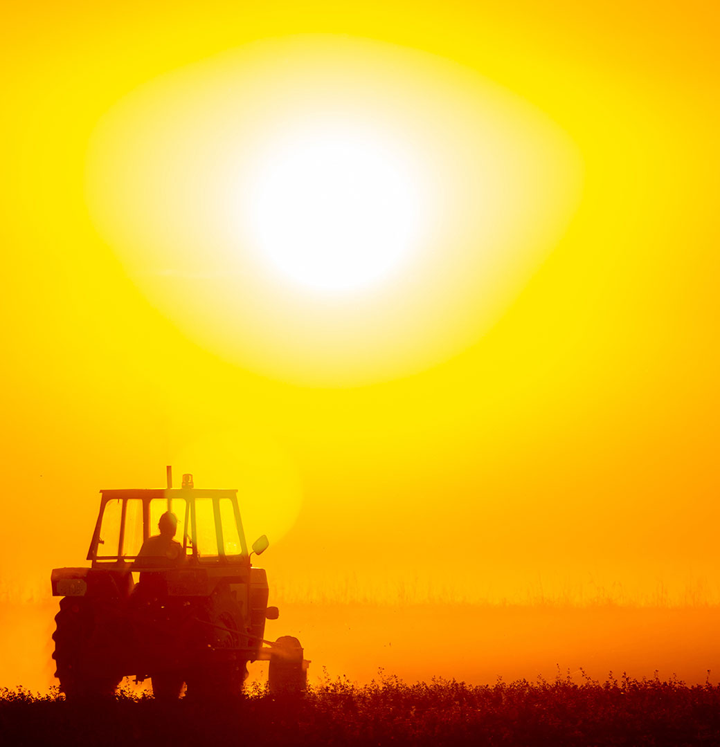 New-West-Genetics-Agronomic-Innovation