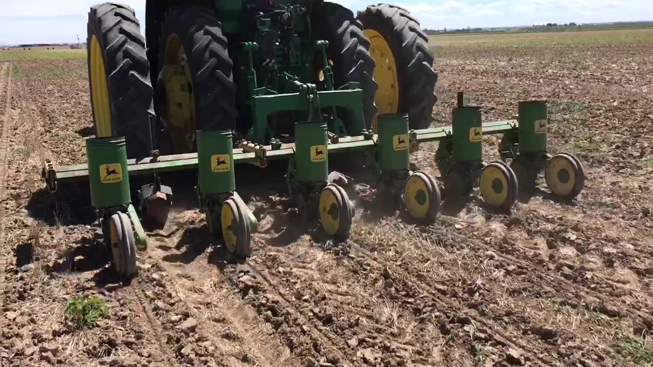 Hemp Field Planting