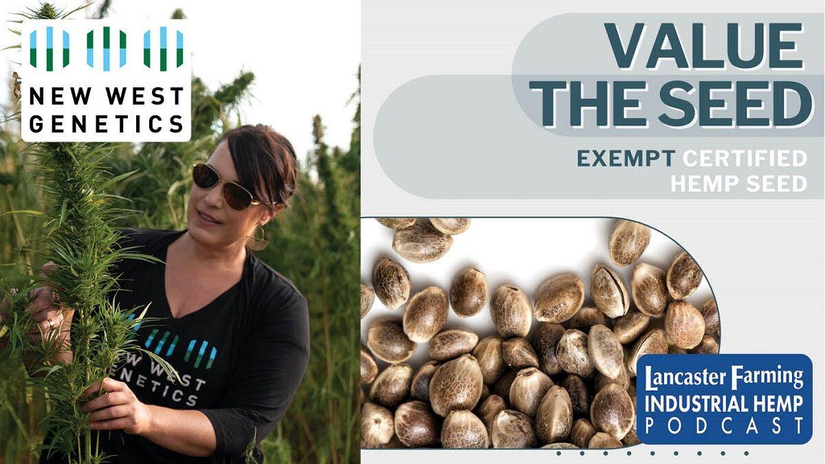 Lancaster Farming Hemp Podcast Interview with Wendy Mosher on the Value the Seed Initiative