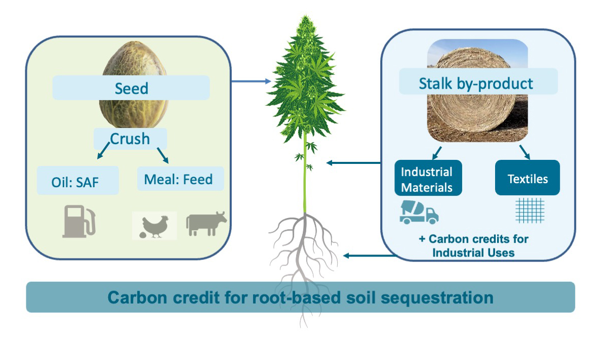 Industrial Hemp Products and By Products