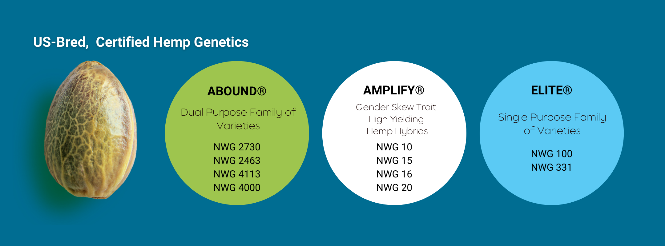 NWG HEMP SEED GENETICS