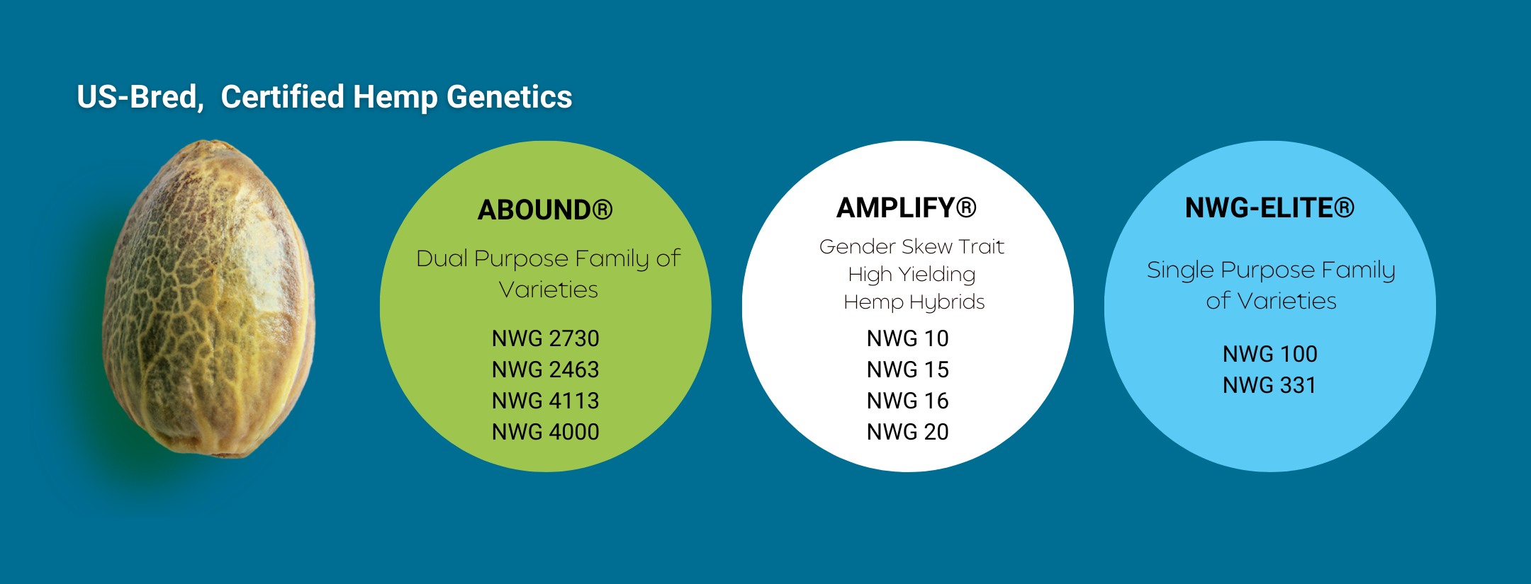 NWG HEMP SEED GENETICS