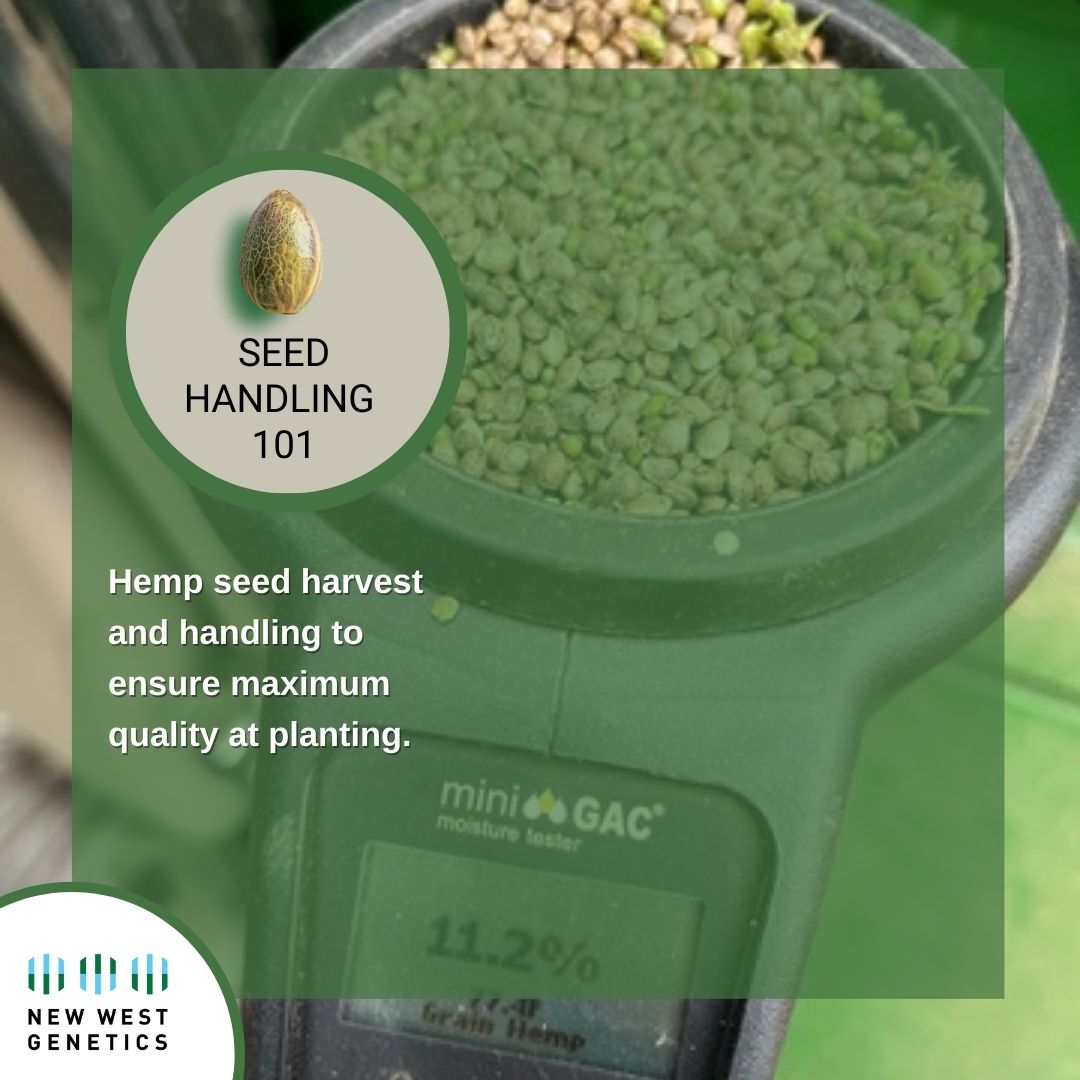 Seed Handling 101 - Moisture content